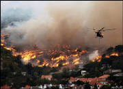 WildFire