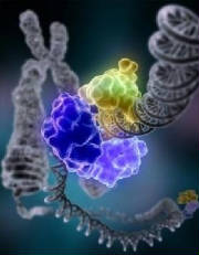 Today we can see the origin we know the secrets of Life.
