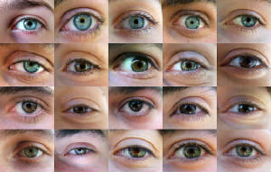 Many eyes