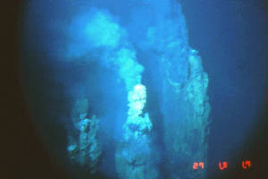 Multiple vents from the ocean floor at 340 degrees.
