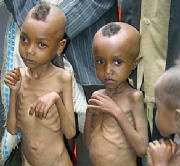 haunting images we wish not to remember - y prevent from happening
