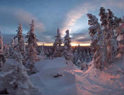 Together, we the Living await the first rays of dawn.