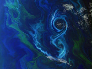airial view of phytoplankton blooming right here on our mother earth