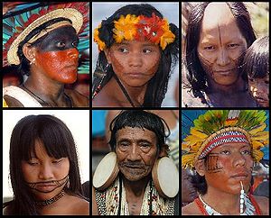 People of the forest is people like us