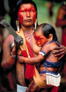 kayapo madre