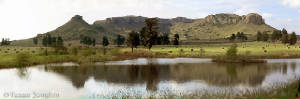 Africa Berge en weiveld