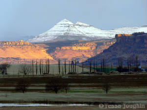 Africa Sneew Berge