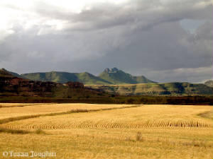 En as die wind waai , maak die koring golwe soos die see, Dit is mooi.
