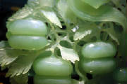 Unas frutas y hoja fracturado en piedra Jade.