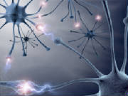 Click - Do it with the wisdom of intellect, not your heart.