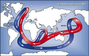 Main warm and cold sea currents