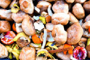 waste-food
