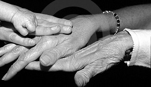 Cuatro Generaciones