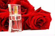 Perfume of Nature