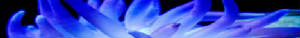 Life right here in our Cosmos IDREA.