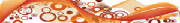 To have a special cell function in the bio-mass called Idréa