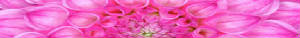 The Flowering of Life Everywhere