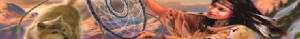 Dream catcher is like a lenz bringing together all the Living.
