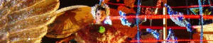 Festival de luz interno - es la vida
