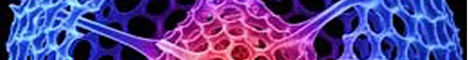 Click for more on Aura and Soul in a Social structure