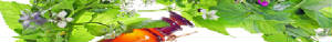 Link to the World of Substances from  Nature