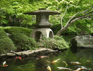 Click - Japanese Zen Garden is Harmony.