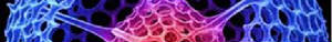 Link to Life Structures