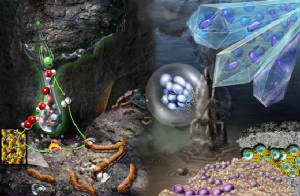 Microbes live in extreme environments of cold hot dry acid