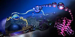 Cell Structures Protein Creation