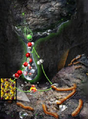 Cell-Structures - sulfur flat microbes live off of the radioactive by products deep within rock