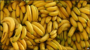 Costa Rican bananas export woldwide