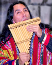 Muestra de Músico Andino