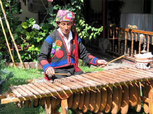 Costa Rica Marimba y Musicos desde todos lados