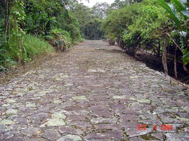 Guayabo Calza de Piedra Inter Americana