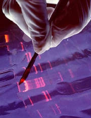 Dna Research Gel electrophoresis
