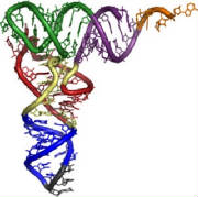 Dna Research biotecnologia