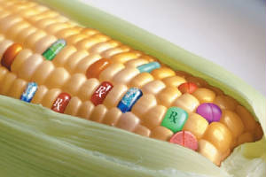 Genetic Engineering
