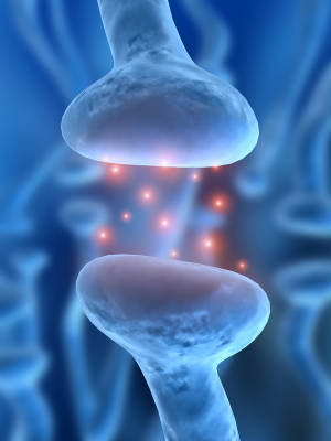 Nueron Activity