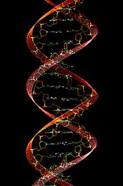 Exploring The Cell and DNA with the Music Theme from Cosmos
