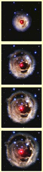 Development of V838 Mon