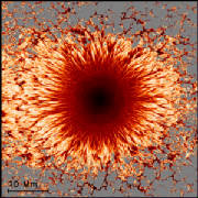 Heliosphere - to Start a Plasma Donut