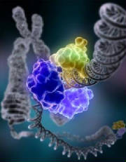 Double Helix Life Awakening The self-repair aspect of DNA is astonishing to the point of miraculous