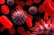 El Virus H1N1 - porcino