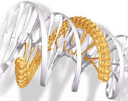 Helix Creation: triple helix designing a new molecule