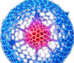 Logo IDREA Diatom Life Structure