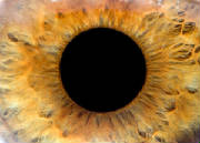 Macroworld the human Iris - vision is the marvel of creation