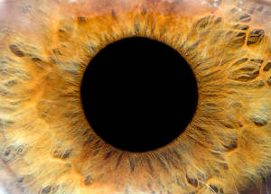 Into this dark hole disapear the most beatyful images, to be ingraved in the Memory