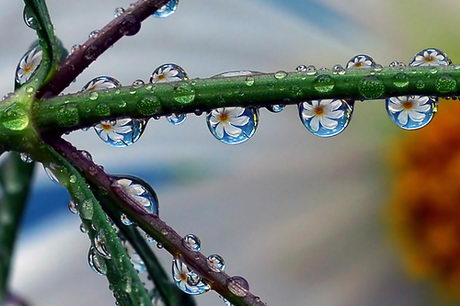 Refracted wonder world of water