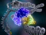 Nano World DNA Double Helix Life Sprouting