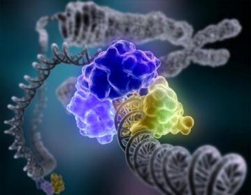 Nana World - DNA Double Helix Life everyone unique Fragile but Resilient to Survive -The self-repair aspect of DNA is astonishing to the point of miraculous